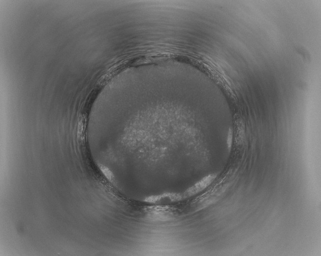 X0000115320273200912141204