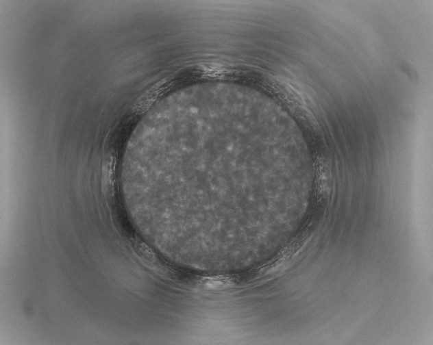 X0000115320275200912141204