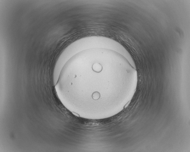 X0000115320276200912141204