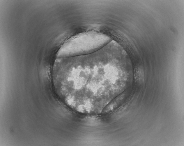 X0000115320280200912141204