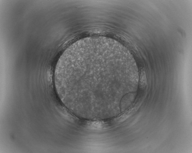 X0000115320282200912141205