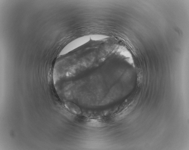 X0000115320285200912141205