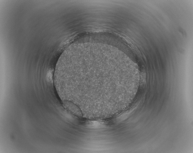 X0000115320286200912141205