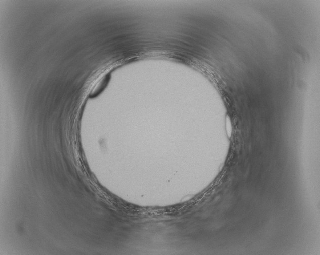 X0000115320289200912141204