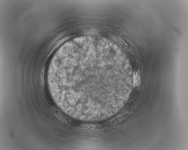 X0000115320291200912141204