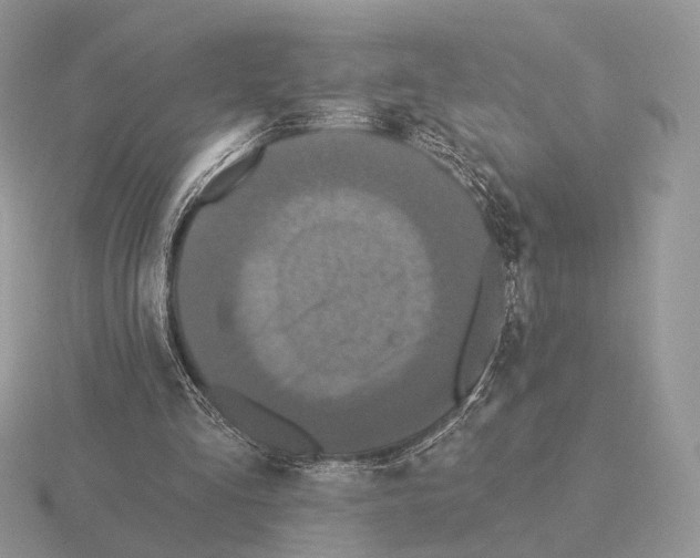 X0000115320293200912141204