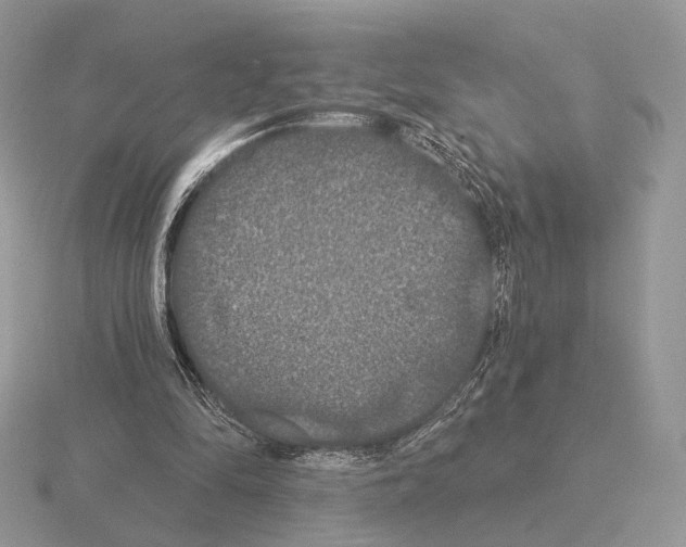 X0000115320294200912141204