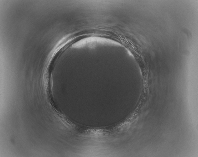 X0000115320295200912141204