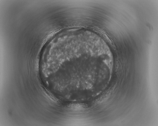 X0000115320299200912141204