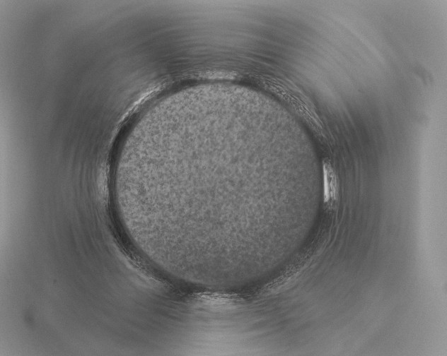 X0000115320300200912141204