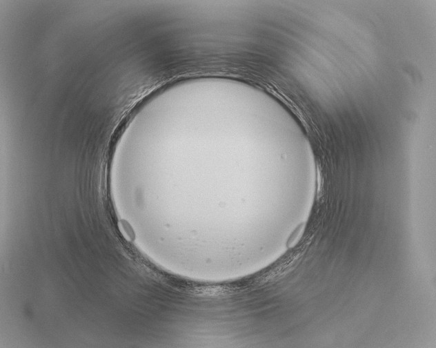 X0000115320301200912141204