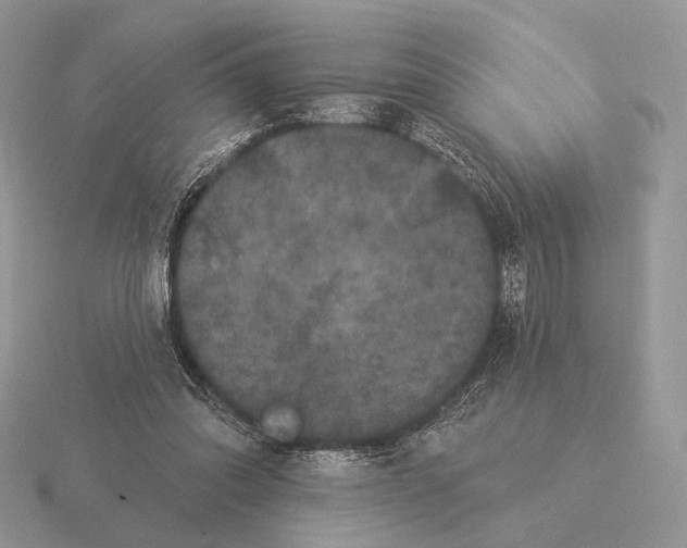 X0000115320302200912141204