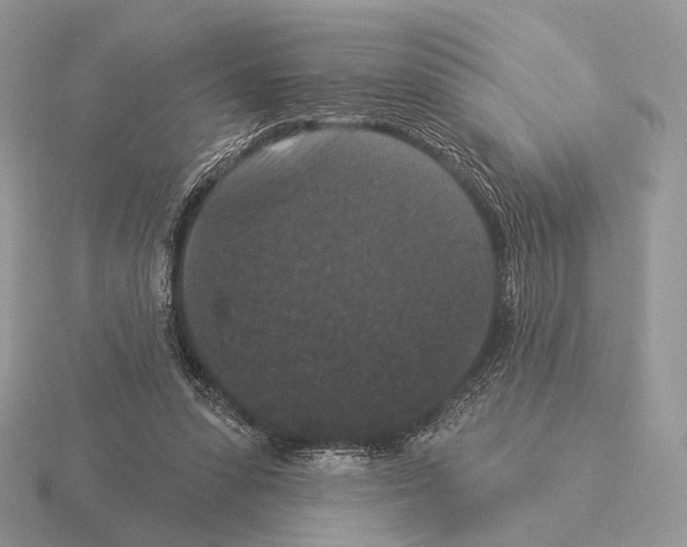 X0000115320303200912141204