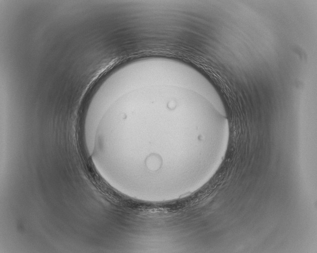 X0000115320304200912141204