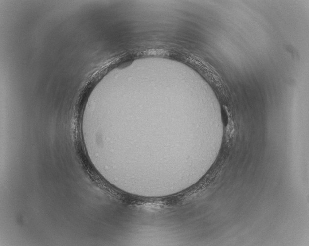 X0000115320306200912141204