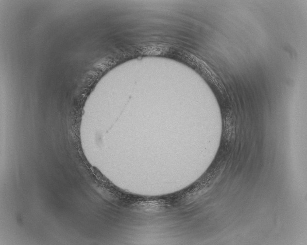 X0000115320307200912141204