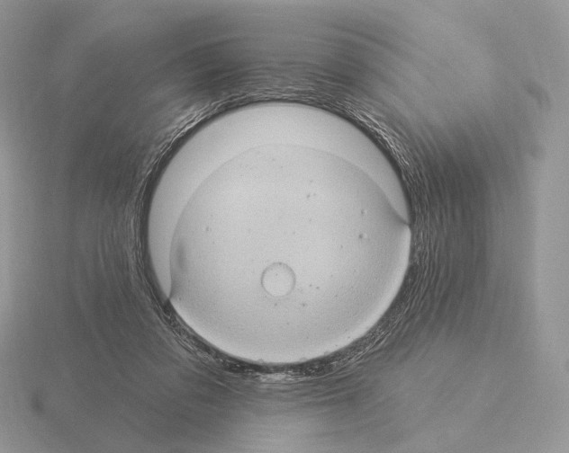 X0000115320309200912141204