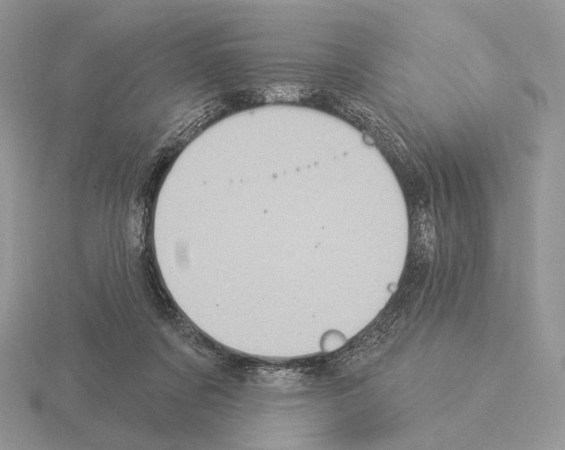 X0000115320311200912141204