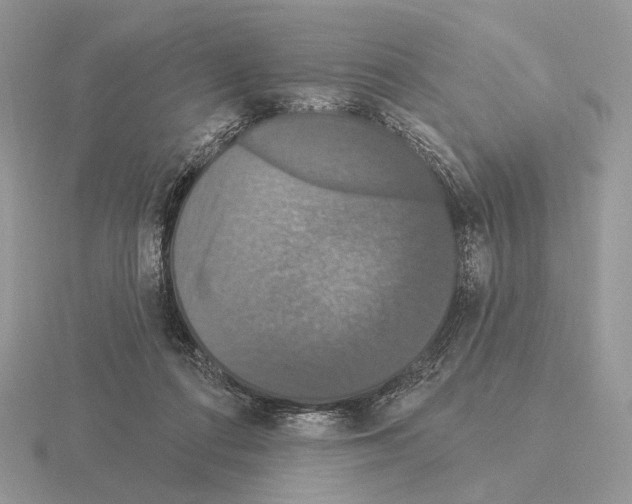 X0000115320312200912141203