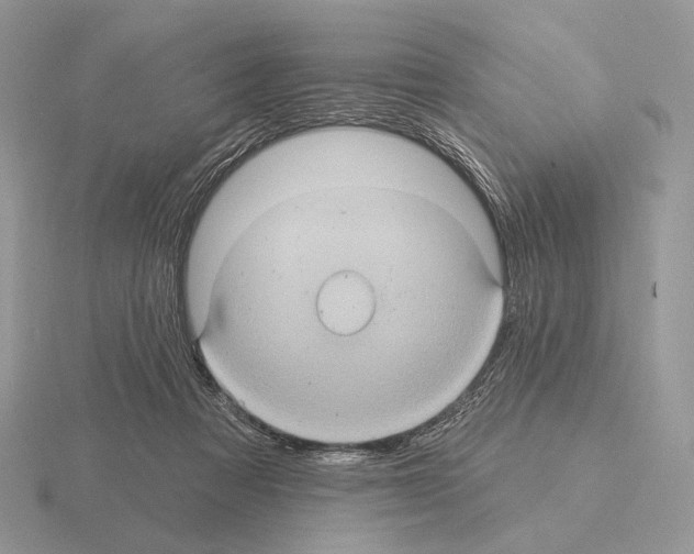 X0000115320313200912141203