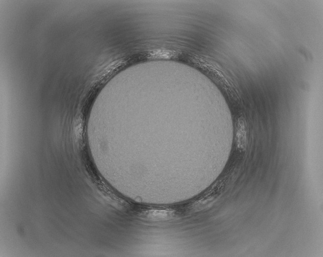 X0000115320314200912141203