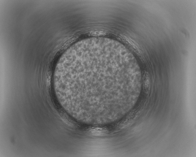 X0000115320315200912141203