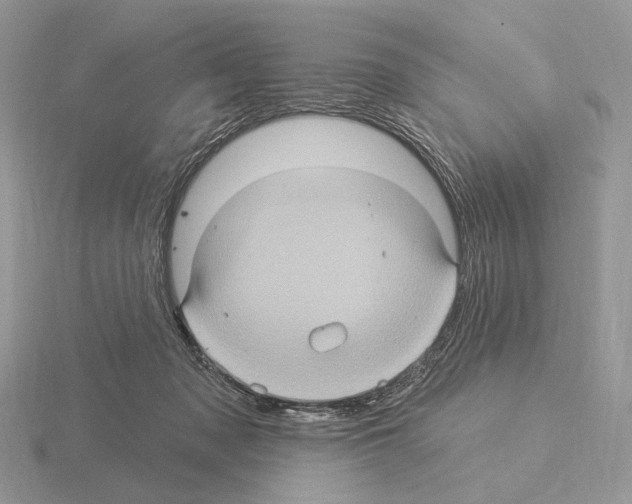 X0000115320317200912141203