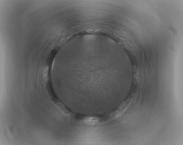 X0000115320319200912141203