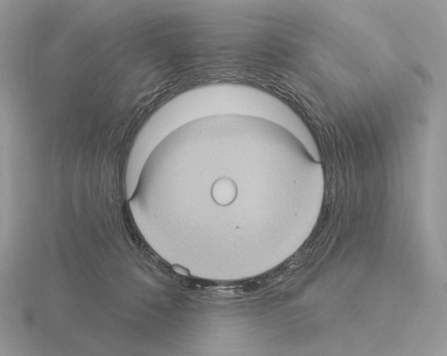 X0000115320320200912141203