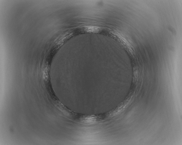 X0000115320325200912141203