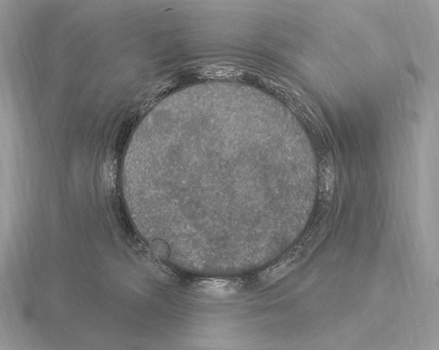 X0000115320326200912141203