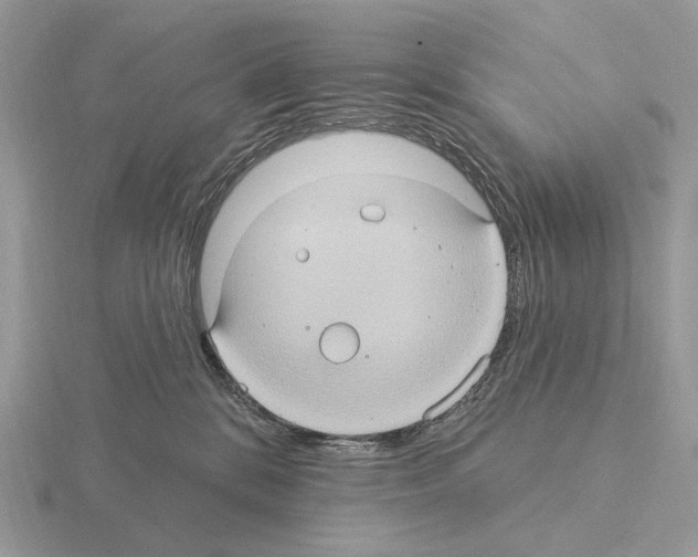 X0000115320328200912141203