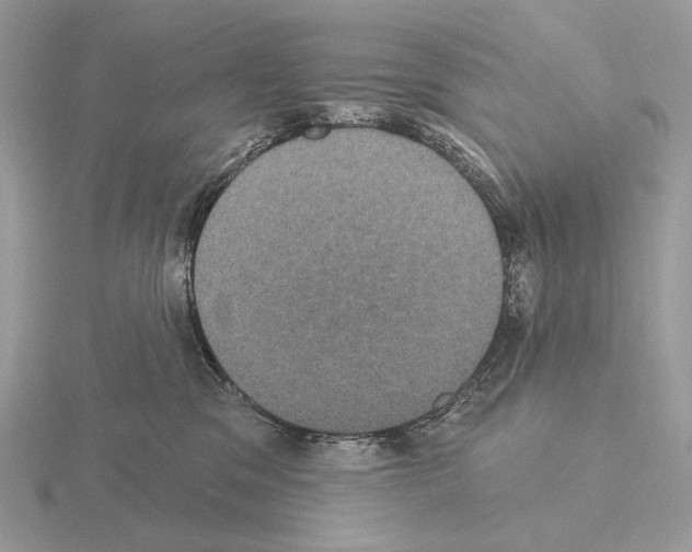 X0000115320329200912141203