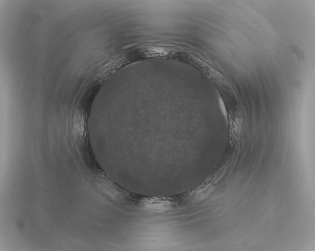 X0000115320331200912141203