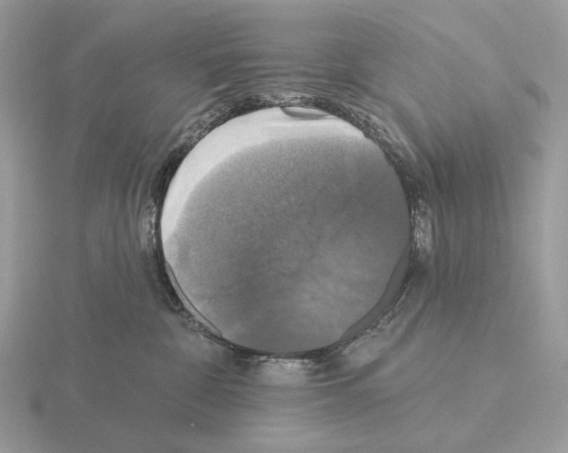 X0000115320332200912141203