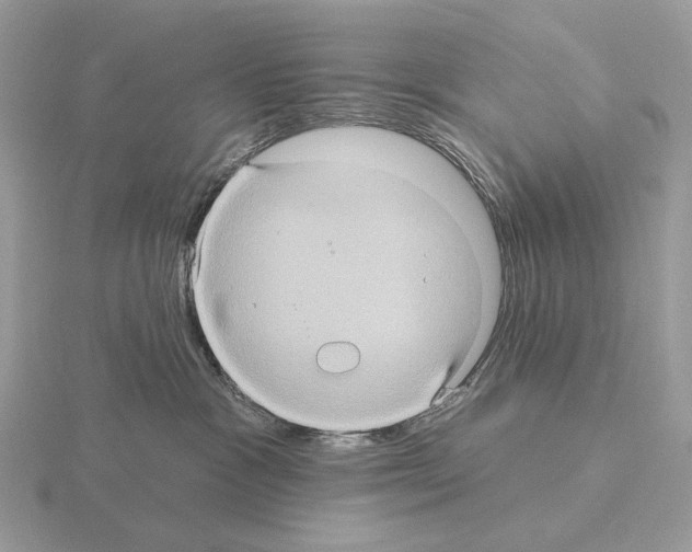 X0000115320333200912141203