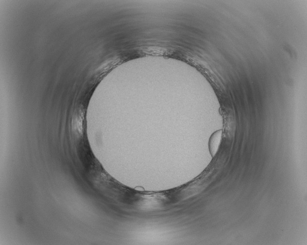 X0000115320334200912141203