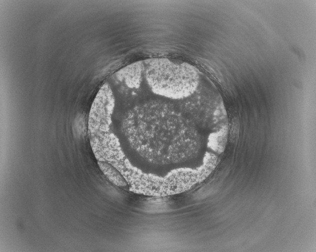 X0000115320335200912141203