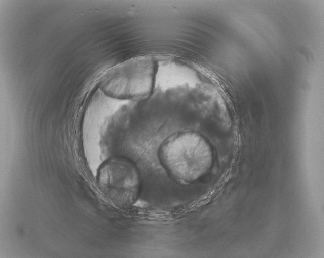 X0000115320337200912141203