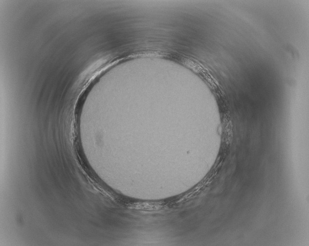 X0000115320338200912141203