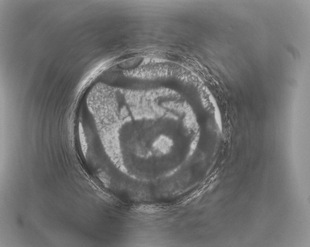 X0000115320341200912141203