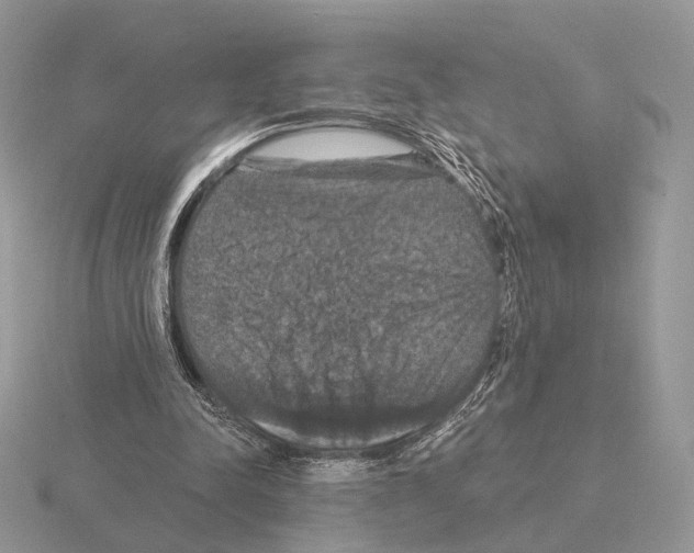 X0000115320342200912141203