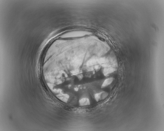 X0000115320343200912141203