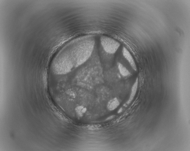 X0000115320345200912141203