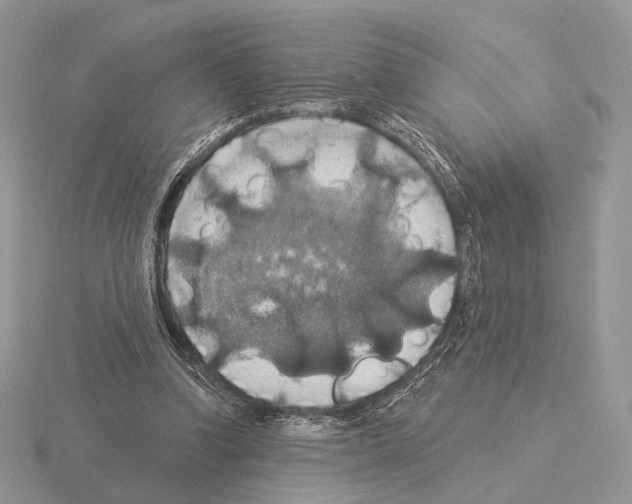 X0000115320346200912141203