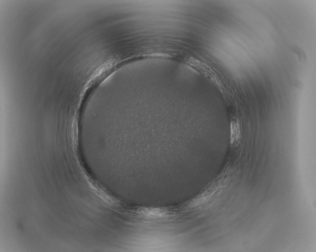 X0000115320349200912141203