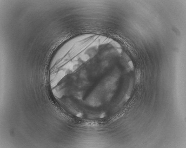 X0000115320353200912141203