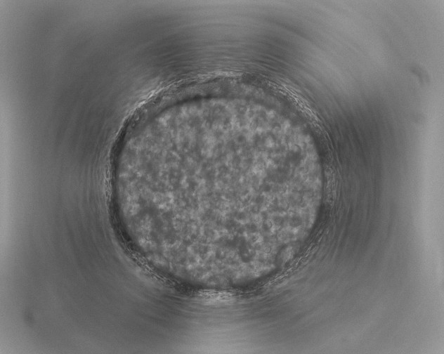 X0000115320354200912141203