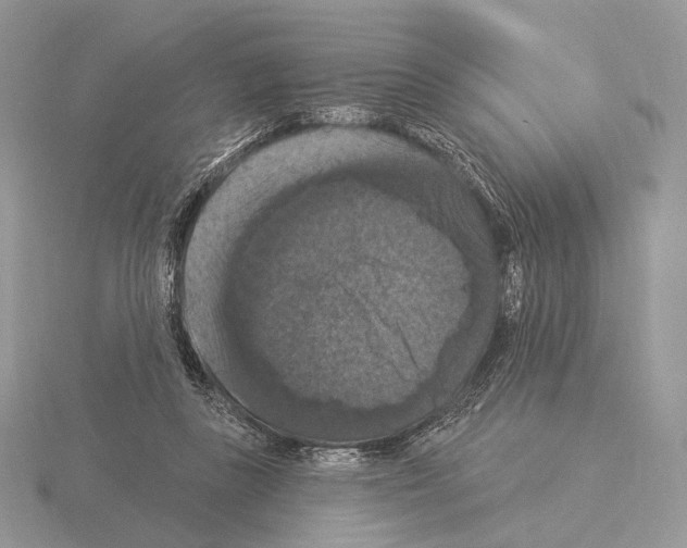 X0000115320355200912141203