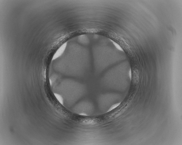 X0000115320358200912141203